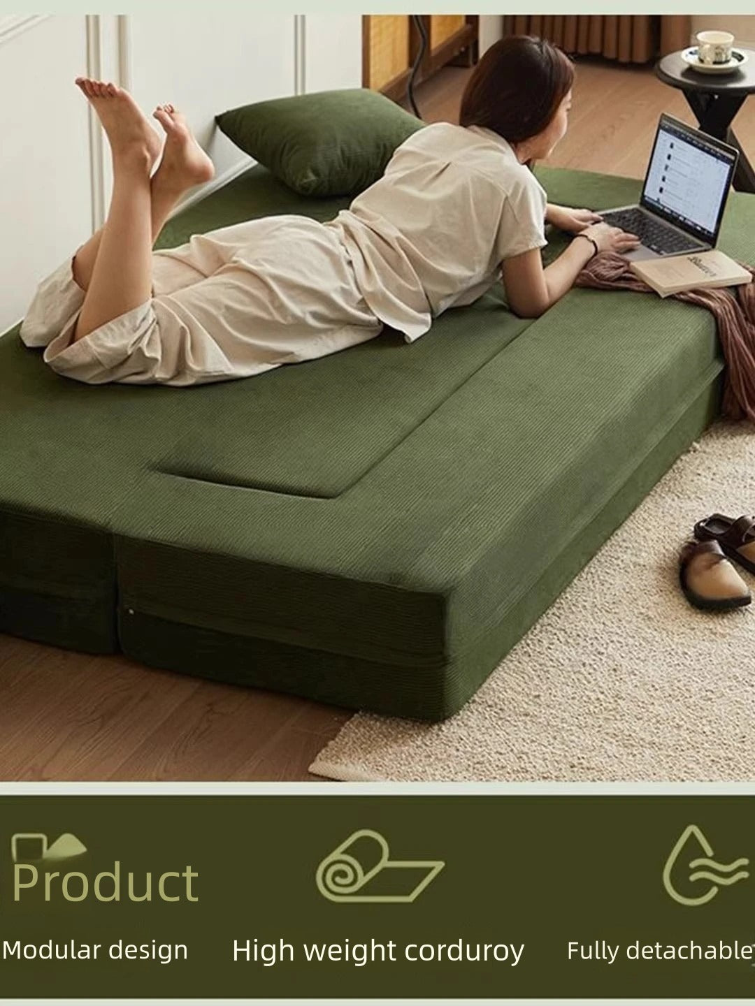 Modern Foldable Sofa Bed with Cushions